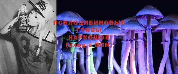 стаф Абдулино