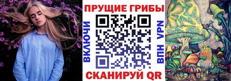 Галлюциногенные грибы прущие грибы  Назрань 